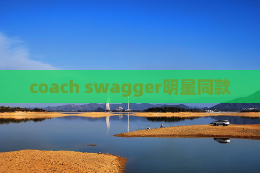 coach swagger明星同款